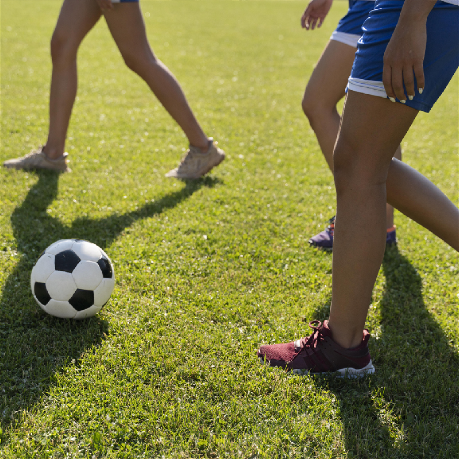CANCHAS